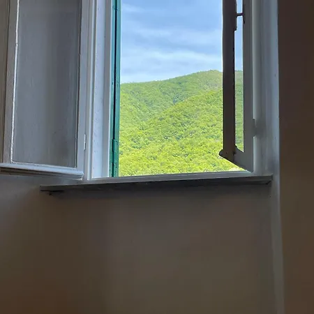 Il Gerlo Apuano *
